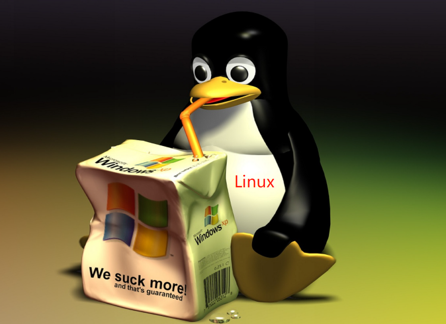 Linux常见环境安装