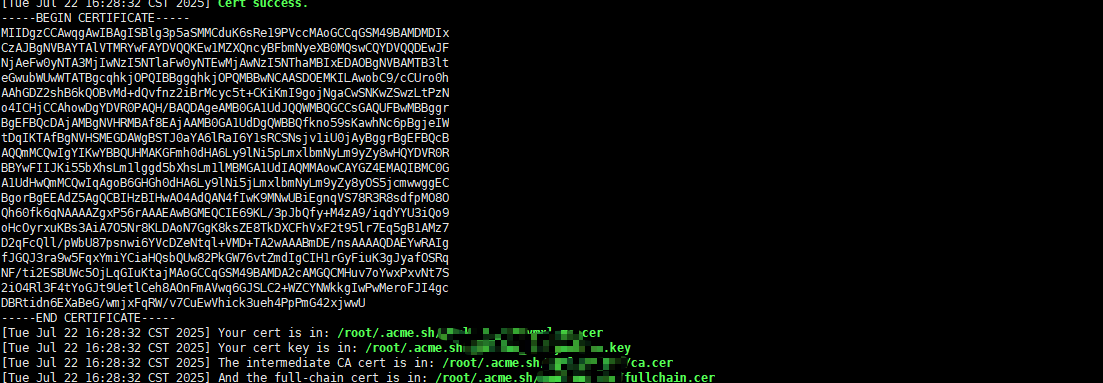 image-20250722164752779